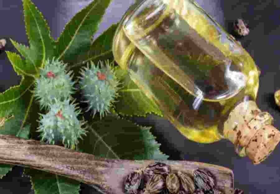 Organic Castor Oil